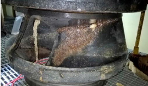 FLYG_cavitation_1